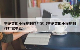 琼海宁乡智能小程序制作厂家（宁乡智能小程序制作厂家电话）