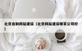 琼海北京自制网站建设（北京网站建设哪家公司好）